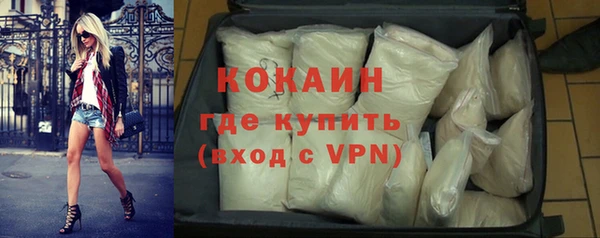 прущие грибы Богородицк