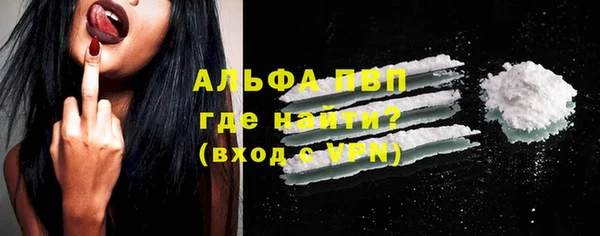 прущие грибы Богородицк