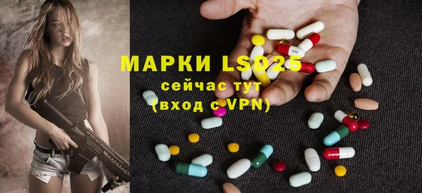 прущие грибы Богородицк