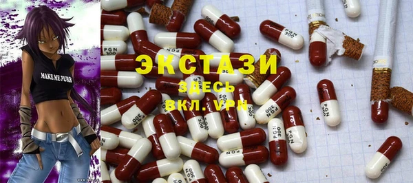 ECSTASY Богородск