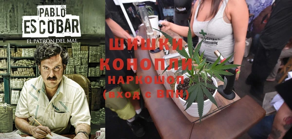 ECSTASY Богородск