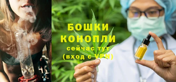 прущие грибы Богородицк