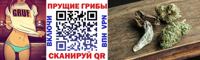 Псилоцибиновые грибы ЛСД Крым
