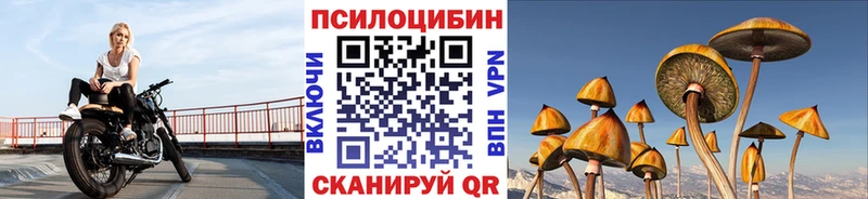 hydra ТОР  Крым  Галлюциногенные грибы Cubensis 